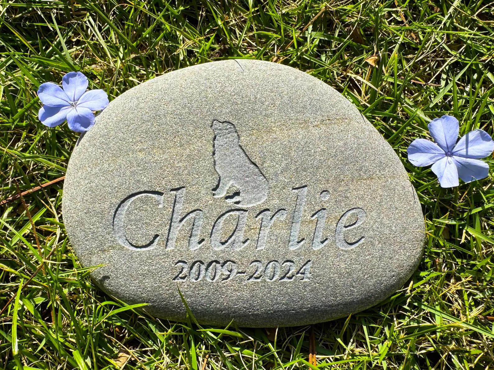 Bia đá cuội tự nhiên cho thú cưng - khắc hình và thông tin kỷ niệm về thú cưng yêu quý